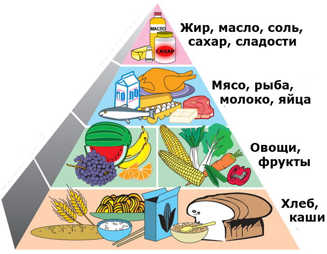 пирамида здорового питания