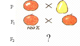 https://85.142.162.119/os11/docs/ca9d848a31849ed149d382c32a7a2be4/questions/113134/innerimg0.gif