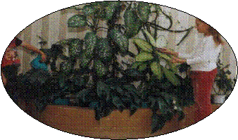 https://dmitr-school.narod.ru/list11.files/image033.gif