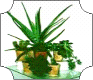 https://dmitr-school.narod.ru/list11.files/image039.gif