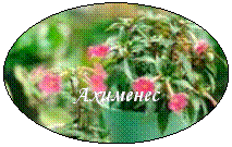 овал: ахименес