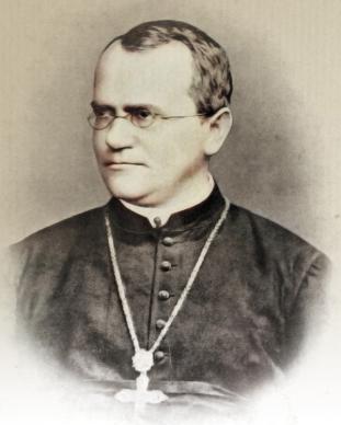 https://elementy.ru/images/eltpub/darwin_evolution_16_600.jpg