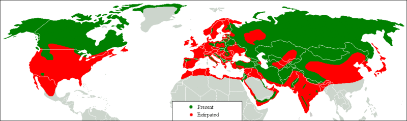 file:wolf distr.gif