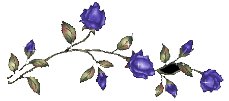 2f20454364d927680449377cb4a8955d