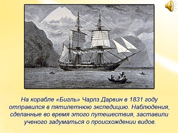 c:\documents and settings\жанна\рабочий стол\предпосылки теории дарвина\презентация\урок\слайд13.jpg