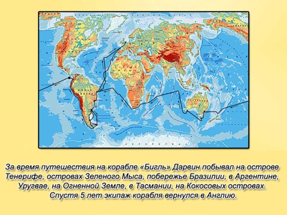 c:\documents and settings\жанна\рабочий стол\предпосылки теории дарвина\презентация\урок\слайд14.jpg