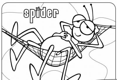 normal_spider.jpg