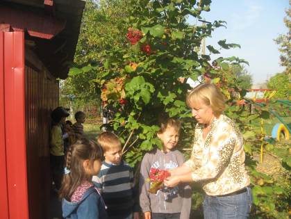 изображение 074
