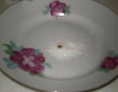 h:\новая папка\sany3032.jpg