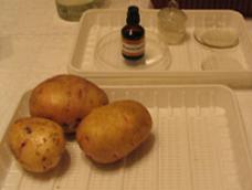 c:\documents and settings\1\рабочий стол\крахмал\potato1.jpg