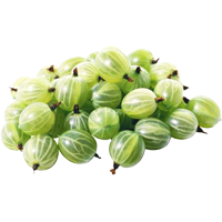 https://yagodi-frukti.ru/uploads/posts/2013-06/1370948525_123.png