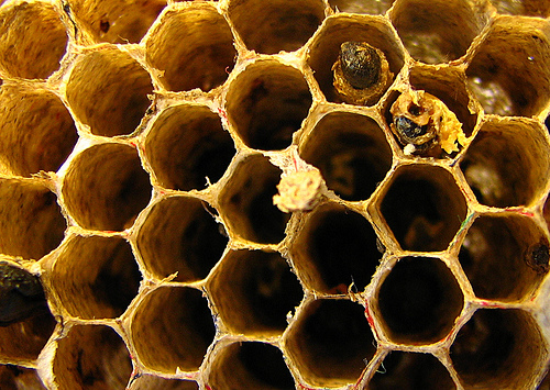 https://geekadin.com/wp-content/wp-hive/geekadin.com/uploads/2010/03/3861233459_f9d31d9106.jpg