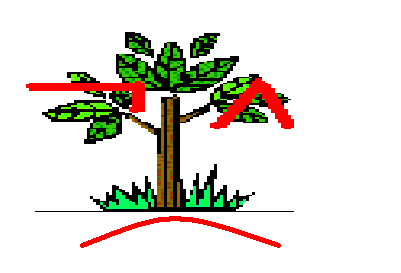 дерево морфем