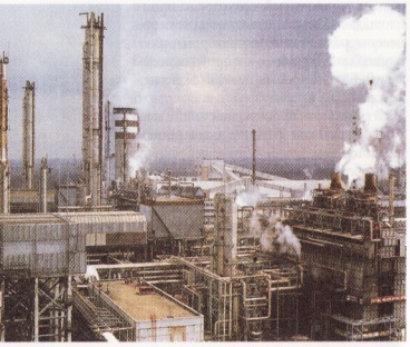 f:\мои документы\мои рисунки\mp navigator\2009_12_17\img_0014.jpg