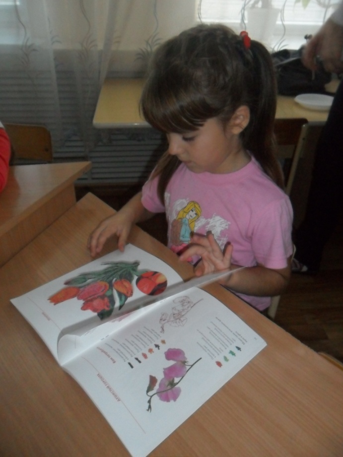 c:\users\user22\desktop\новая папка\sam_1881.jpg