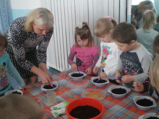 c:\documents and settings\admin\рабочий стол\фото 21.03.13 зиброва откр зан посадка семян\p1011280.jpg